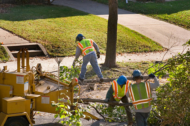 Lawn Drainage Solutions in Bellville, TX